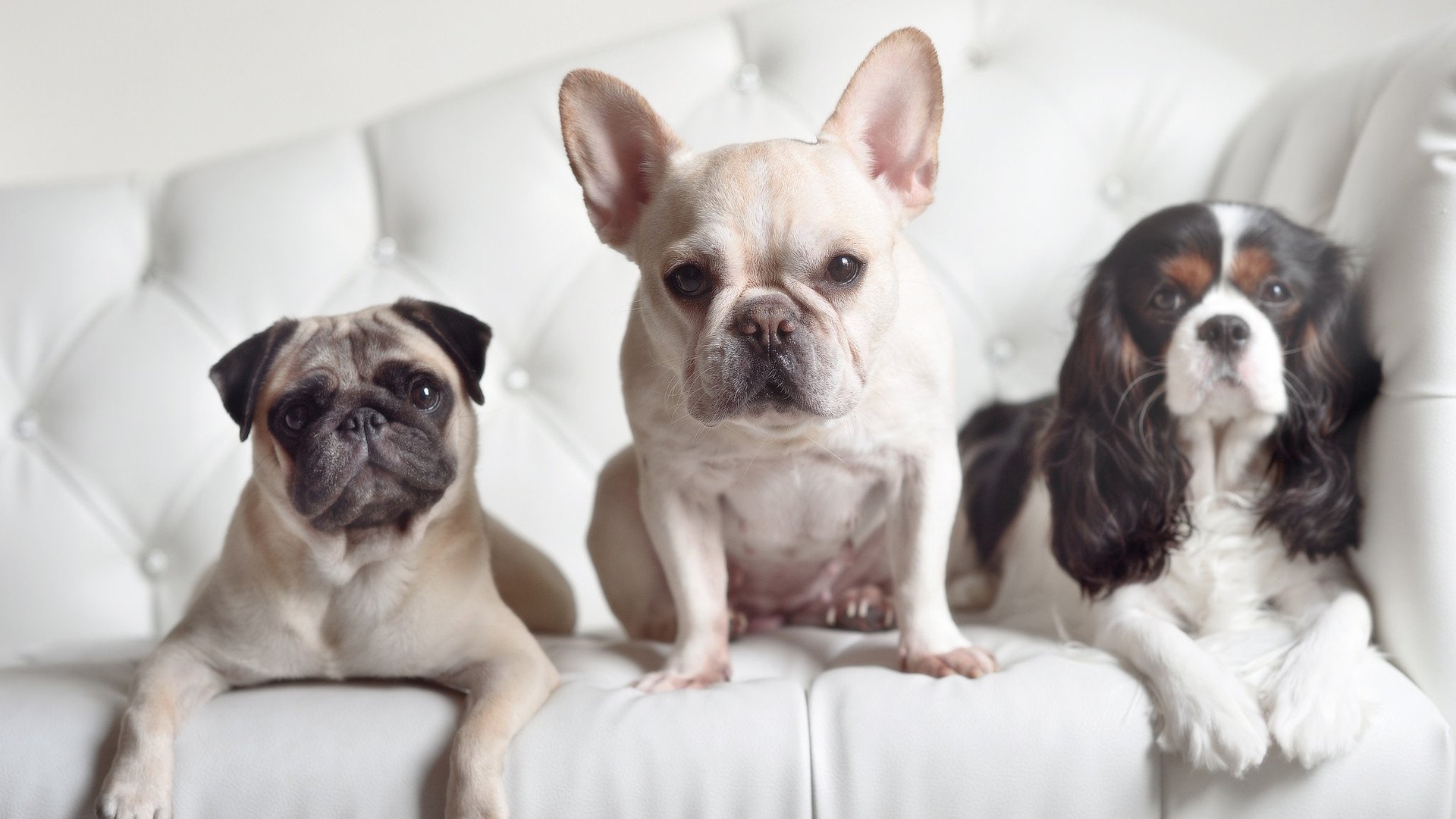 硝烟与星辉,西甲国家德比之夜,切特末节统治战局