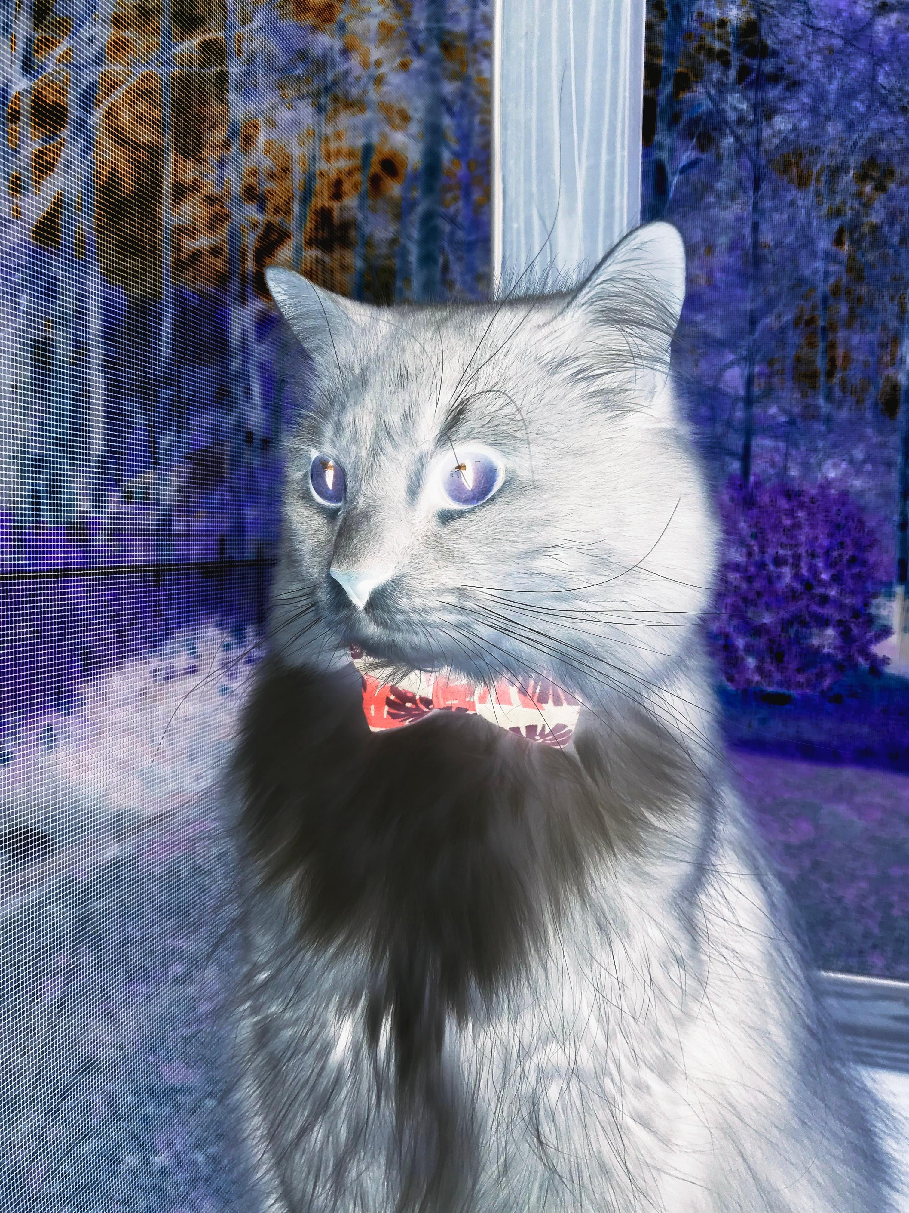 pg电子试玩-数据之王赖斯，拜仁对阵喀麦隆友谊赛引爆技术革命