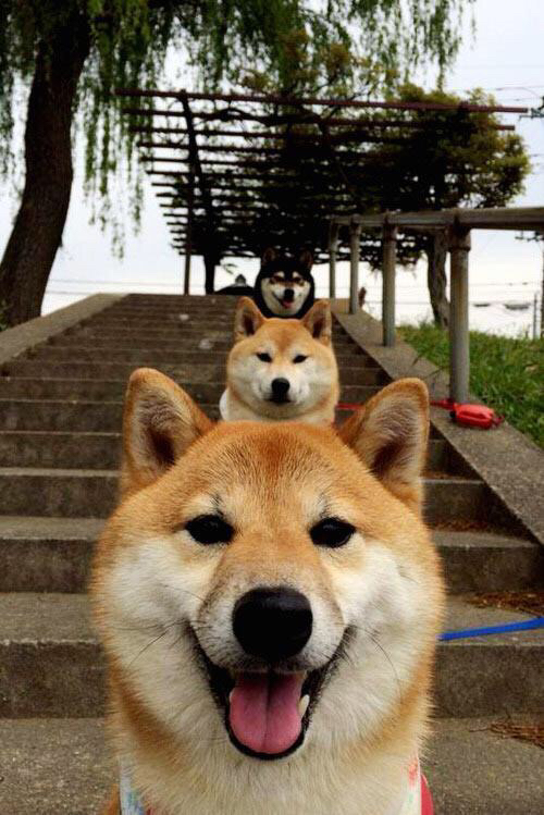 pg电子-奥亚尔萨瓦尔刷新纪录闪耀足坛，曼城对阵几内亚友谊赛激荡激情