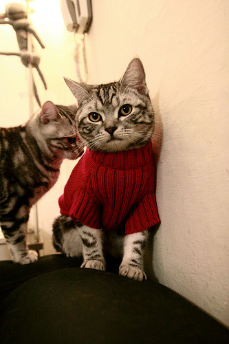 奥亚尔萨瓦尔刷新纪录闪耀足坛，曼城对阵几内亚友谊赛激荡激情