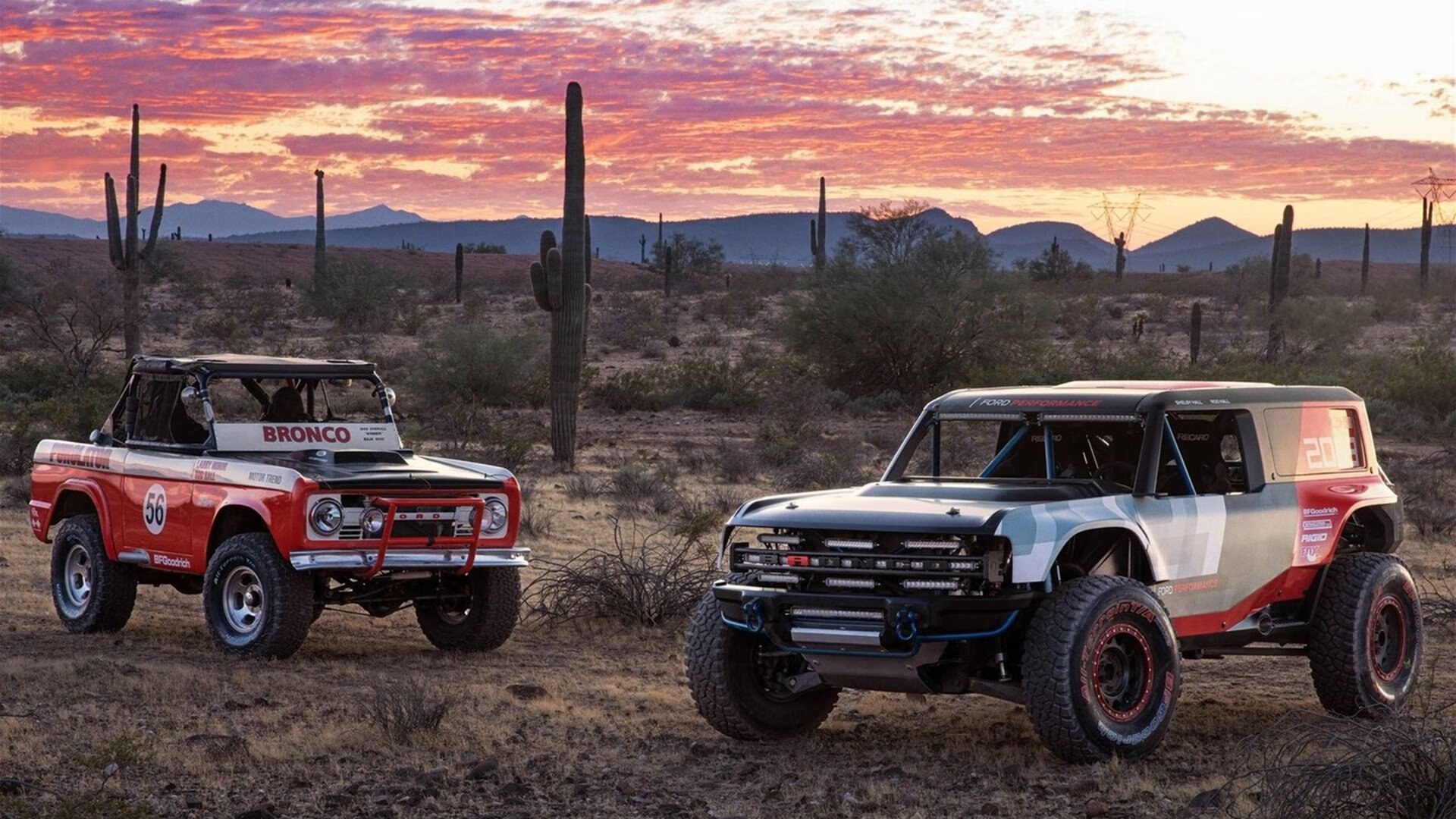 狼王长啸难敌纽约铁阵，当个人天赋撞上团队利刃