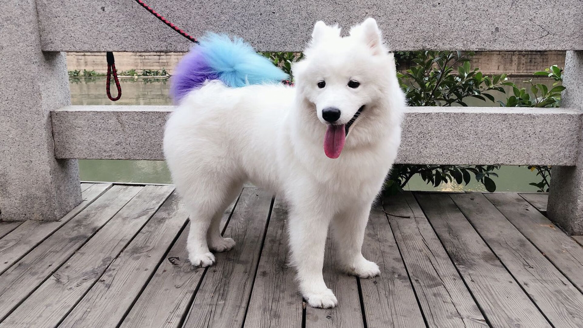 pg电子娱乐-英超争冠之夜，乔治持续制造杀伤，铸就传奇