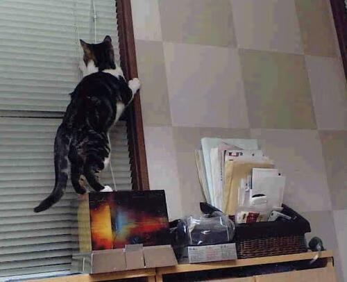 烈焰对决!杜兰特冰封迈阿密,鹈鹕决胜时刻撕裂热火