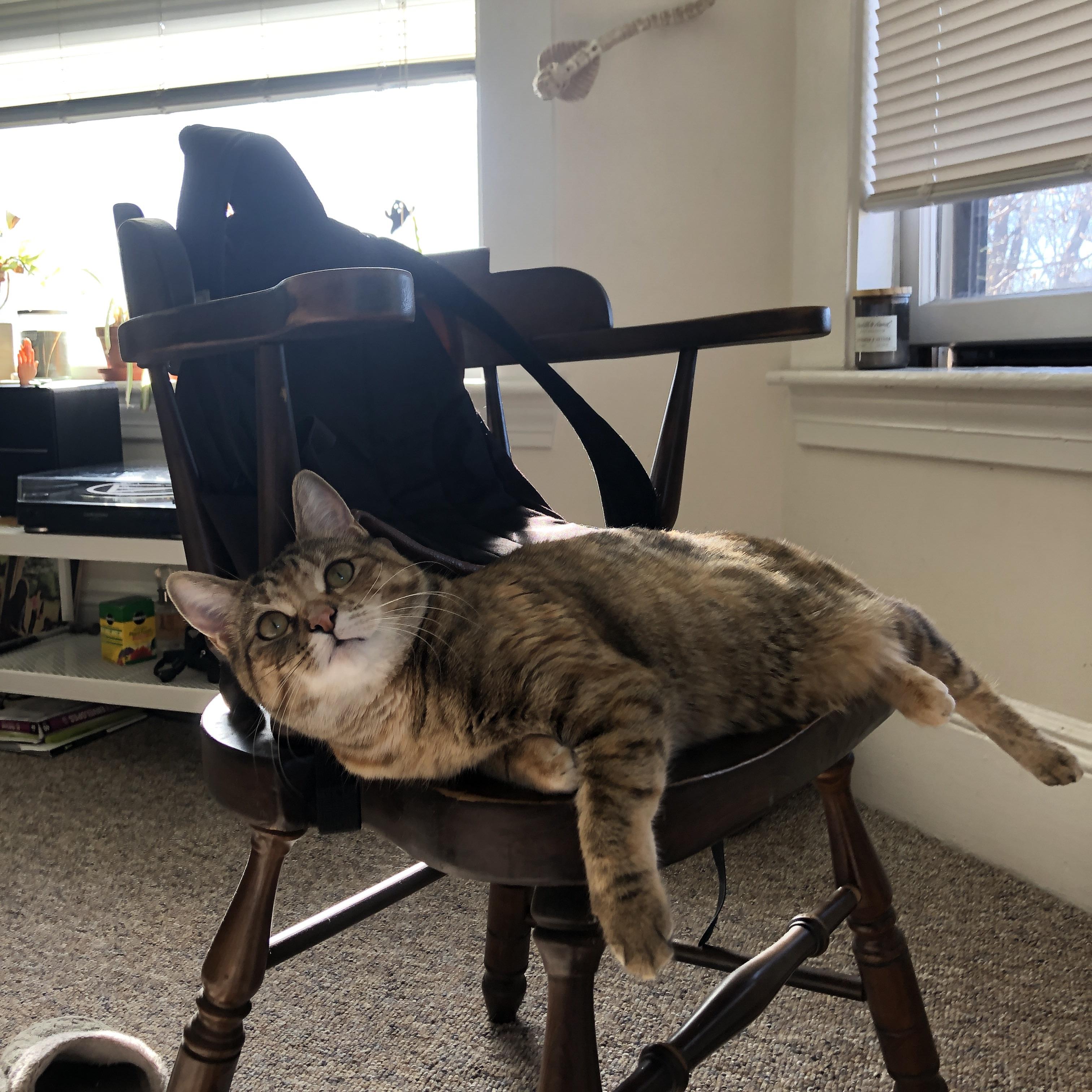 pg电子-北欧风暴撼动南大王，当卢卡库数据核爆击穿拜仁防线