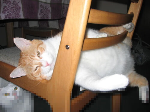 勇士强行终结奇才,小贾伦统治全场却难挽败局