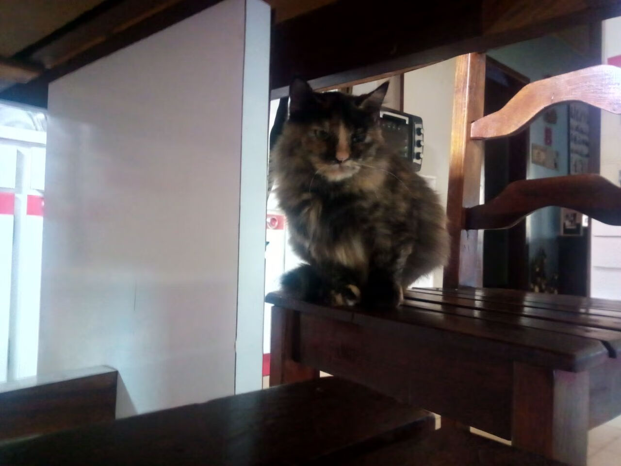 pg电子试玩网-威尔士惊艳碾压尤文，C罗节奏大师风采虽败犹荣