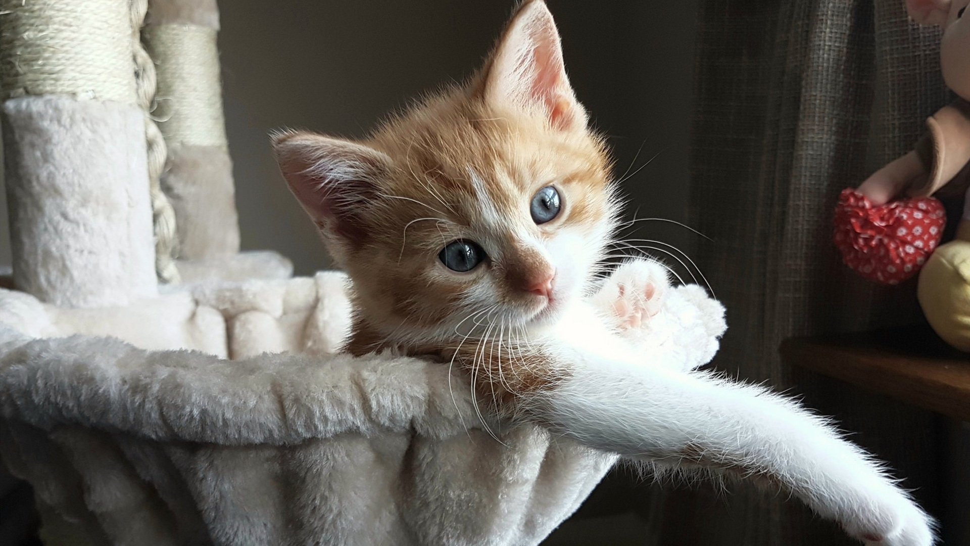 数据、奔跑与智慧,当足球的英雄时代悄然退潮