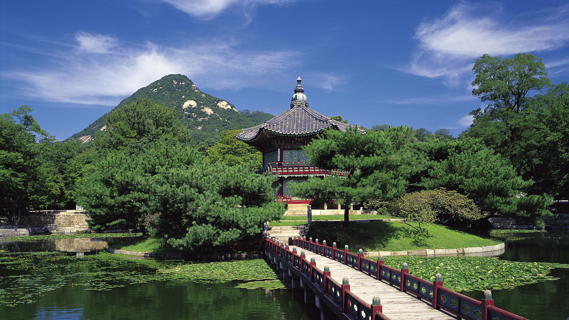 阿坎吉攻防两端统治,尼日利亚决胜局带走波兰